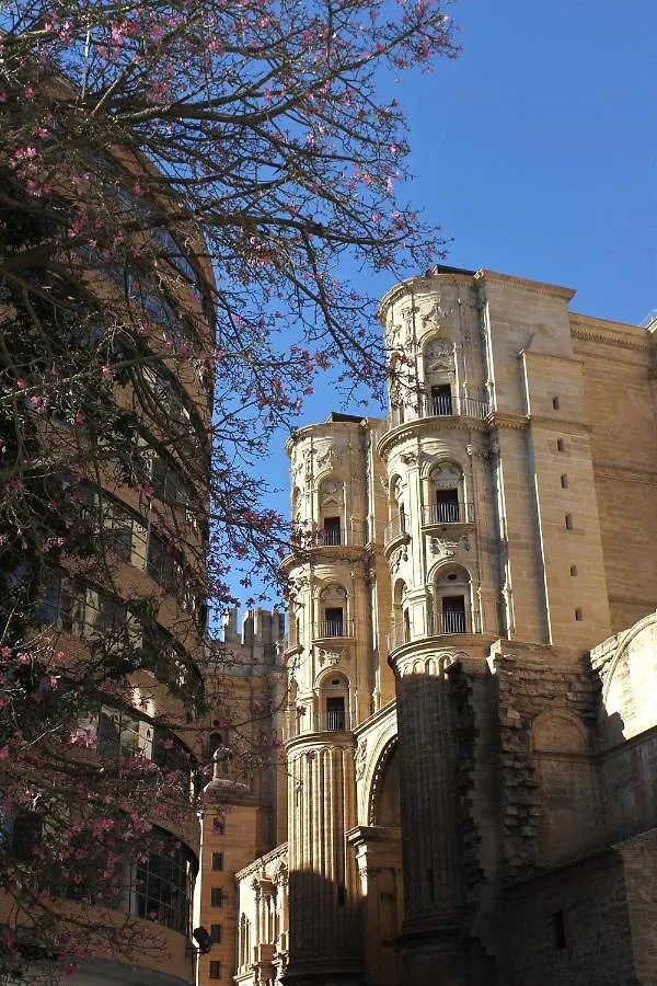 Casa La Victoria Apartment Malaga